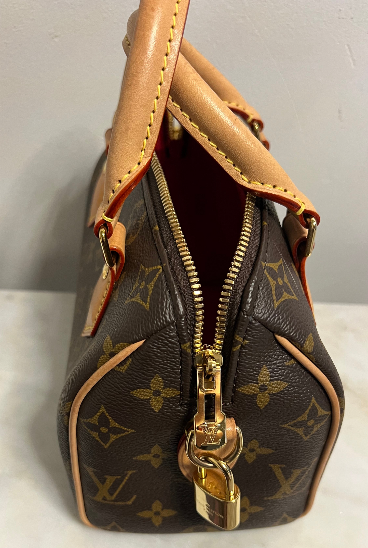 Pre-loved Louis Vuitton Speedy 20