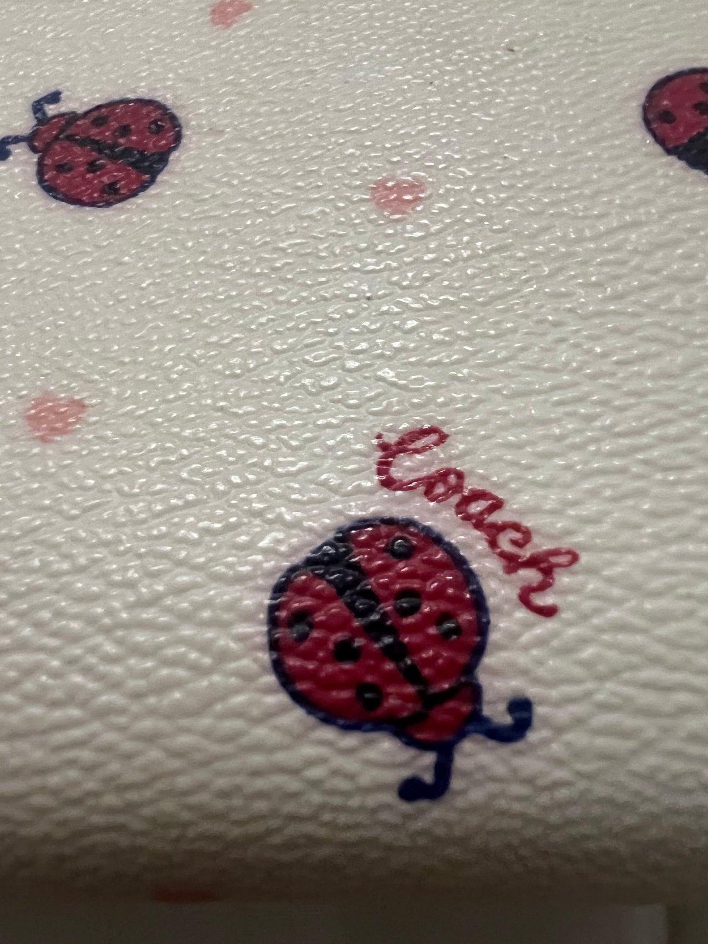 Coach Ladybug Heart Wristlet