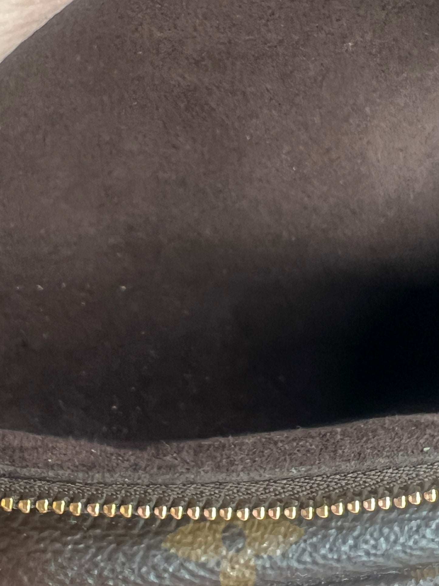 Pre-loved Louis Vuitton Mini Bumbag